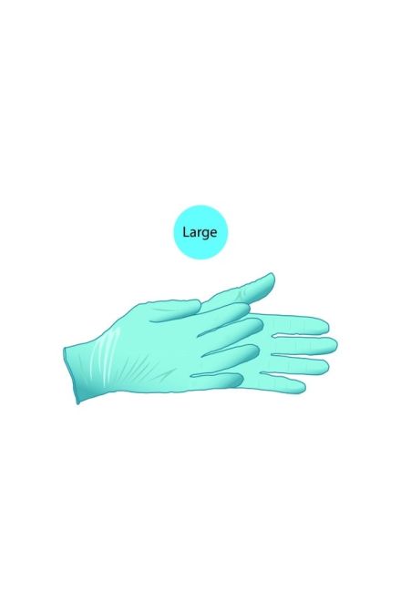 Nitrile Gloves Blue Non Powdered-Large 100pcs