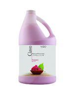 Hand & Foot Lotion Raspberry 3.78L
